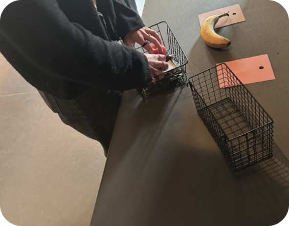 INs & OUTs project